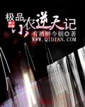 极品小农民完整