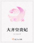 皇上去齐妃