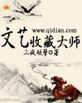 艺藏是什么意思