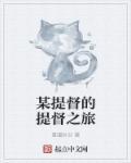 某提督的无限日常