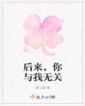 后来你与我无关欢子歌词qq音乐