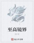 第七百一十章至境巅峰!