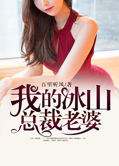 我的冰山总裁老婆陆尘李青瑶