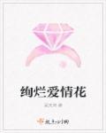 绚烂电视剧
