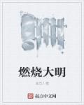燃烧大地演员全名单