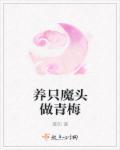 养只魔宝黑团子免费阅读