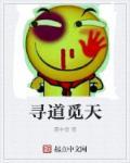 寻道官网