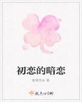 初恋是暗恋电视剧