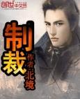 制裁盒子网易版