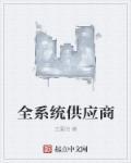 系统供货商