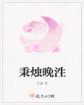 秉烛夜照是哪个平台的网文