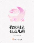 我家相公有点多