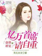 亿万首席的倔强逃妻