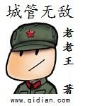 城管无敌 聚合中文网