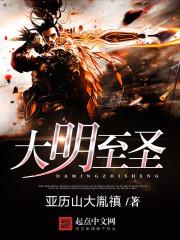 大明圣皇无弹窗