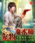 宠物魔术师全本
