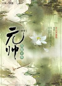 元帅的小镜子快穿文