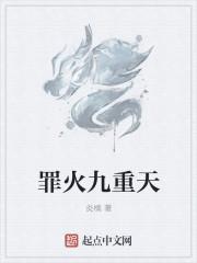 九重天火经