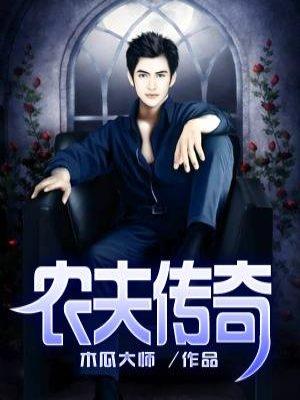 农夫传奇TXT全文最新章节列表