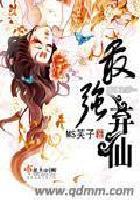 最强弃仙白弥和谁是一对