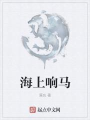 海上马夫