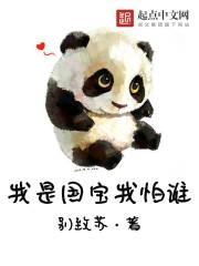 我是国宝你是熊还是猫什么意思