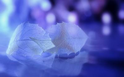 城市的夜微凉 对望却像暖阳