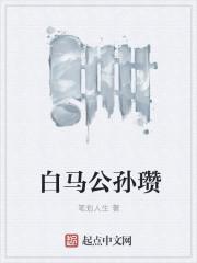 白马公孙瓒外传攻略圣三国