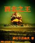 西北之王txt