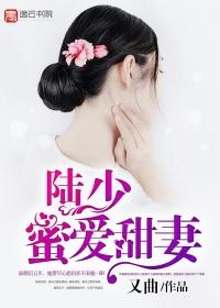 陆少蜜宠替嫁妻全文免费阅读