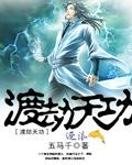 渡劫天功百科