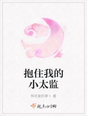抱住我的小太监安子