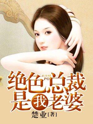 我的绝色总裁妻子