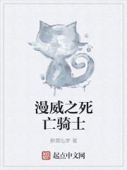漫威骑士