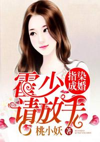 请放手免费全文