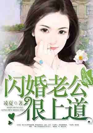 闪婚老公很给力全文免费阅读