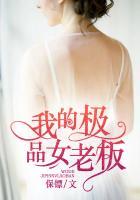 我的绝品女老板们
