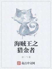 海贼王穿越猎人