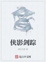 剑踪侠影定制版