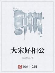 大宋狄相公是谁