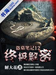 盗墓笔记12终极解密 解大花