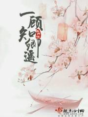一顾倾人免费阅读