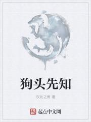 狗头装备