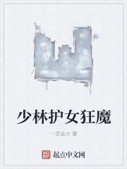 少林十大女杰国语电影