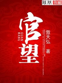 官望权利冲天 第13章