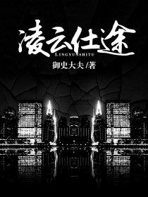 凌云仕途笔趣阁