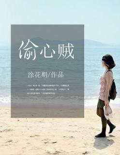 偷心贼歌曲李玟