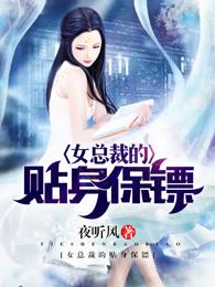 女总裁的贴身保镖叶凡