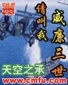 请叫我威廉三世精校版