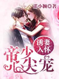 今夜星辰似你夏初念冷纪霆